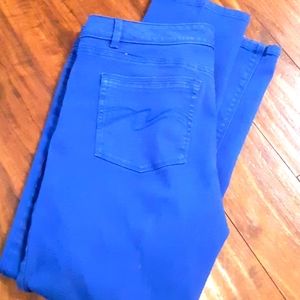 5/$35 Womens sz 12 jeans